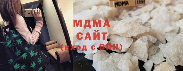 прущие грибы Медногорск