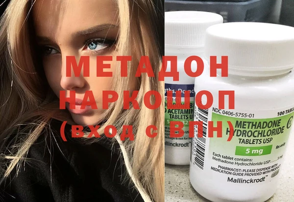 прущие грибы Медногорск