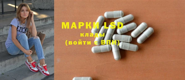 прущие грибы Медногорск
