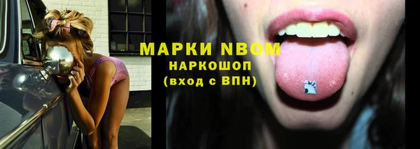 прущие грибы Медногорск