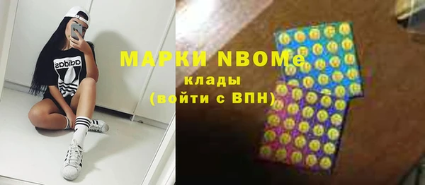 прущие грибы Медногорск