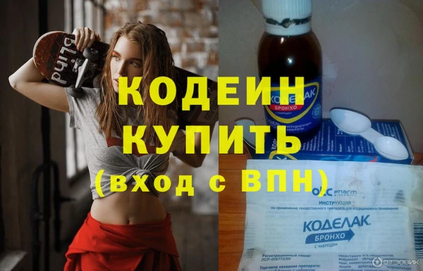 прущие грибы Медногорск