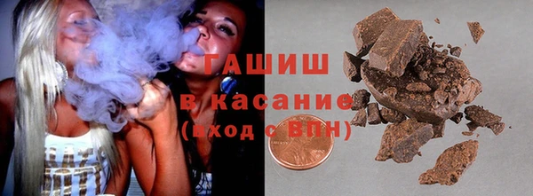 прущие грибы Медногорск