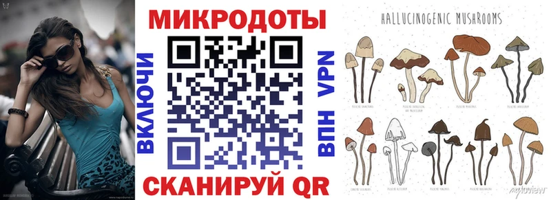 Галлюциногенные грибы MAGIC MUSHROOMS  Купить закладки  Чекалин 